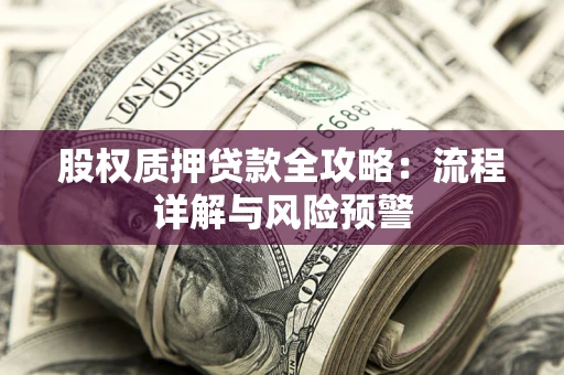 北京股权质押贷款全攻略：流程详解与风险预警