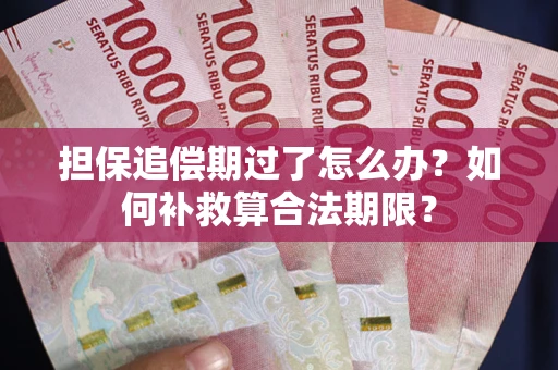 北京担保追偿期过了怎么办？如何补救算合法期限？