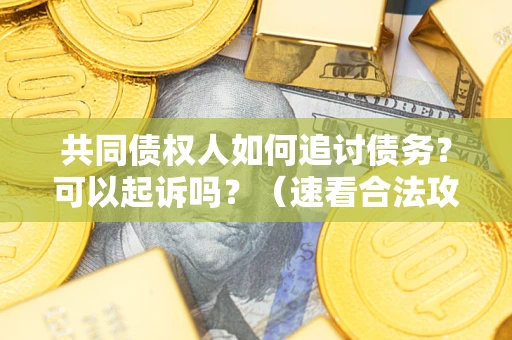 北京共同债权人如何追讨债务？可以起诉吗？（速看合法攻略）